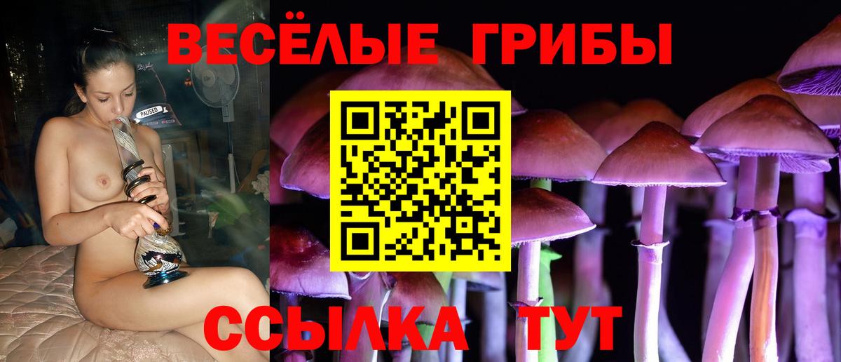 Псилоцибиновые грибы Magic Shrooms  Галлюциногенные грибы GOLDEN TEACHER  закладки  Вход с VPN  Первоуральск 