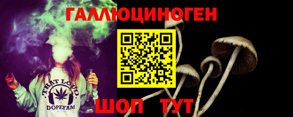 Галлюциногенные грибы Cubensis Первоуральск